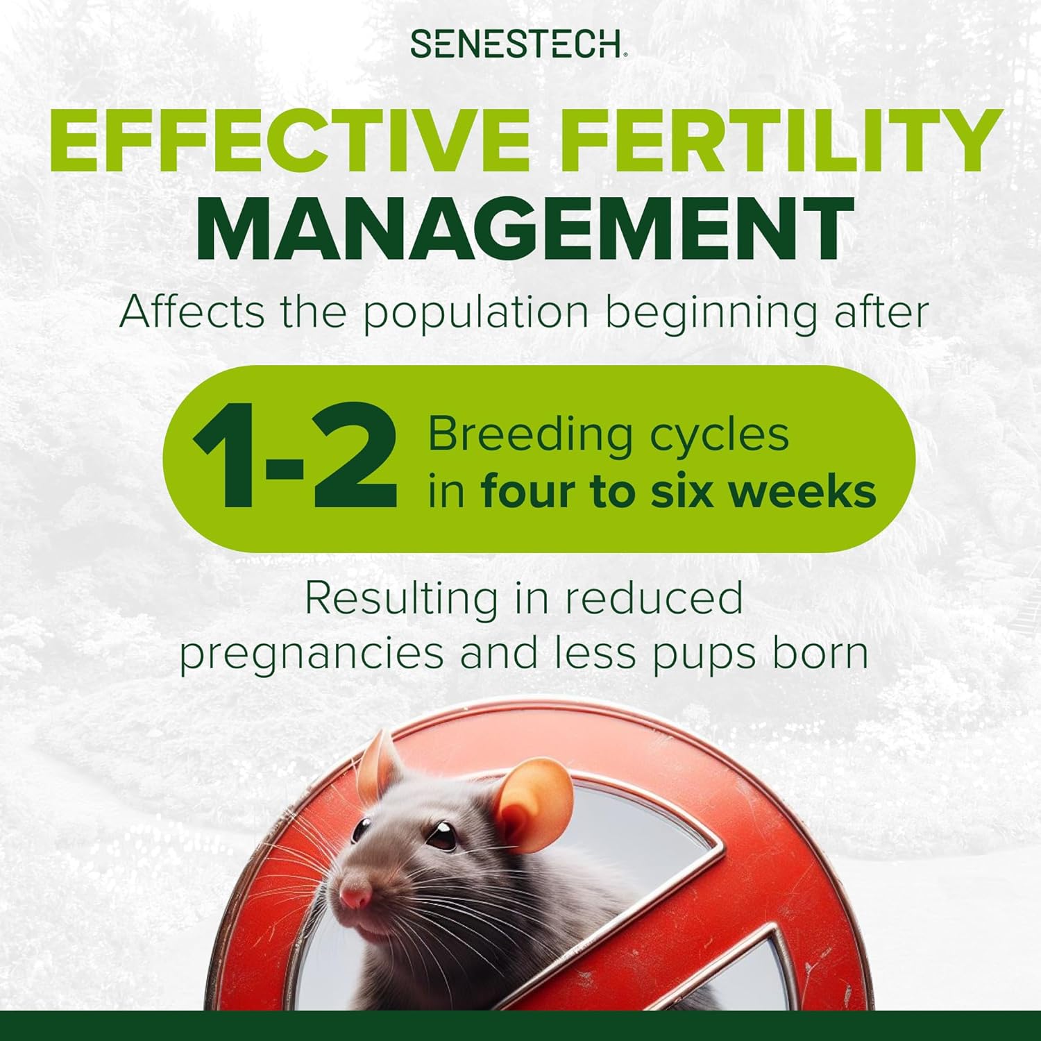 Evolve Cottonseed Oil-Based Soft Bait Contraceptive for Rats, Formulated to Lessen The Population in or Near Your Home (3 lbs)2