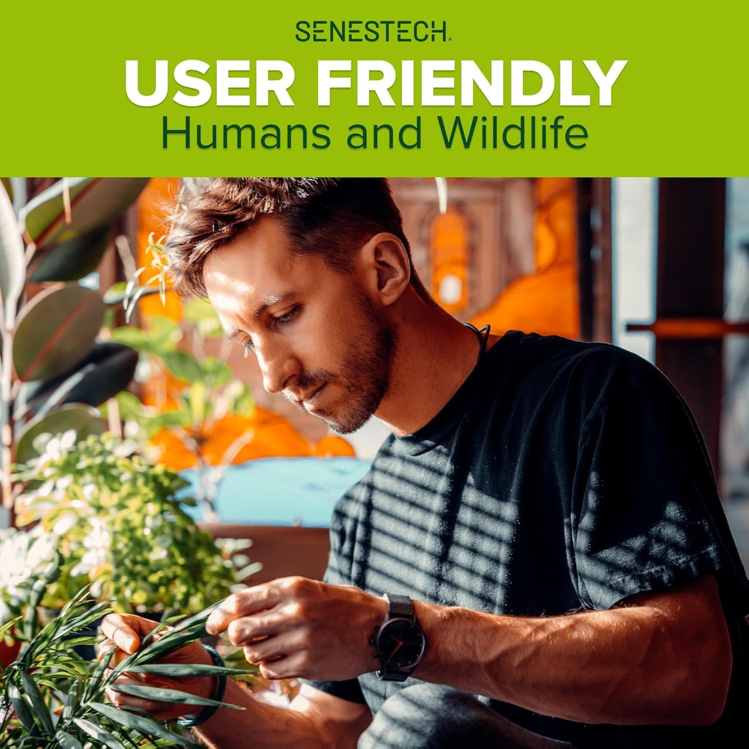 Evolve Cottonseed Oil-Based Soft Bait Contraceptive for Rats, Formulated to Lessen The Population in or Near Your Home (3 lbs)6