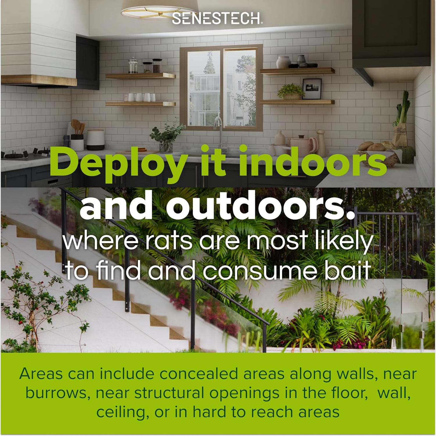 Evolve Cottonseed Oil-Based Soft Bait Contraceptive for Rats, Formulated to Lessen The Population in or Near Your Home (3 lbs)8