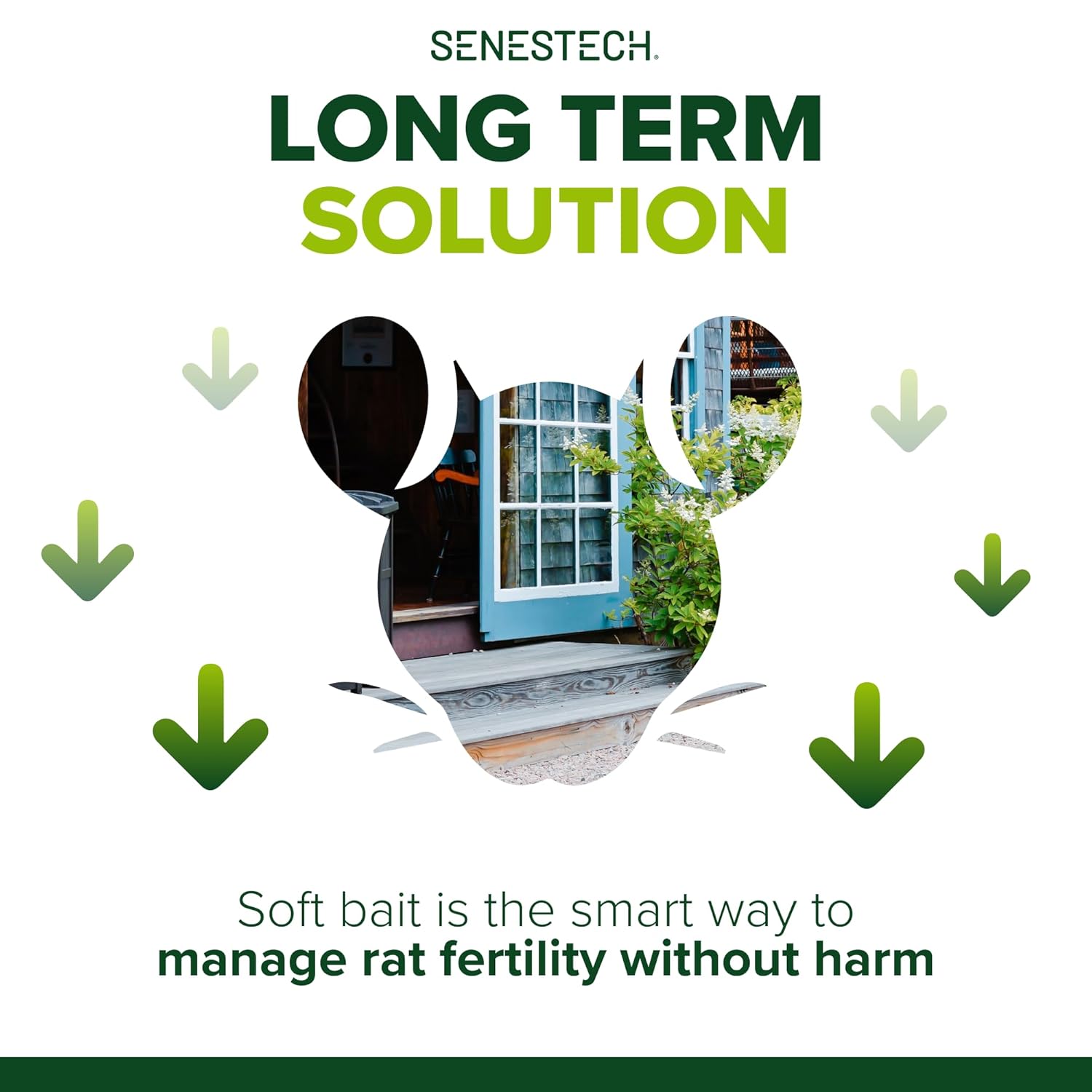 Evolve Cottonseed Oil-Based Soft Bait Contraceptive for Rats, Formulated to Lessen The Population in or Near Your Home (3 lbs)9