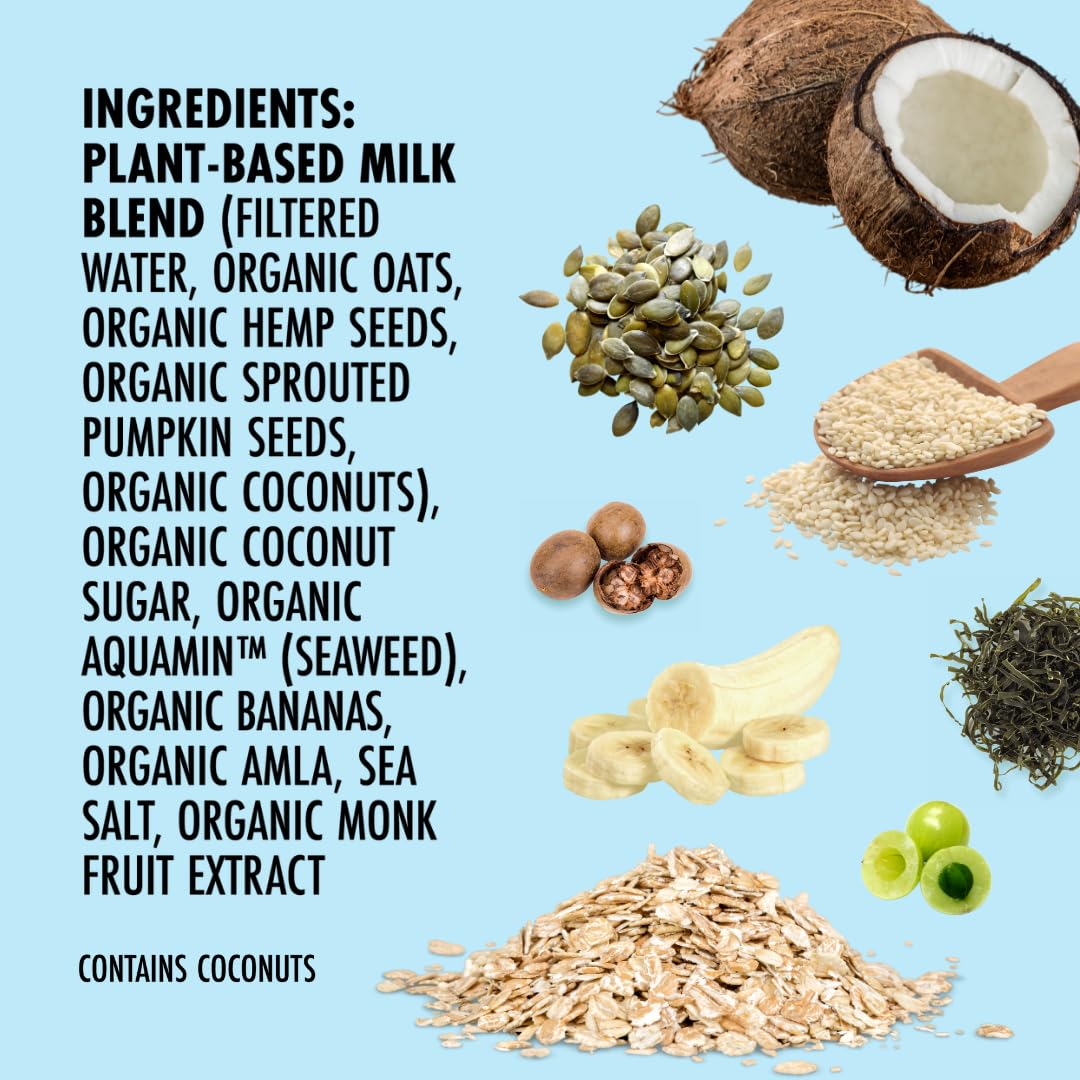 Kiki Milk Plant Based Milk - Organic Original Kiki Milk - Calcium & Magnesium Source - Gluten Free, Gum Free, GMO Free, Dairy Free, Soy Free, Glyphosate Free - Shelf Stable - (32 oz • Pack of 6)13