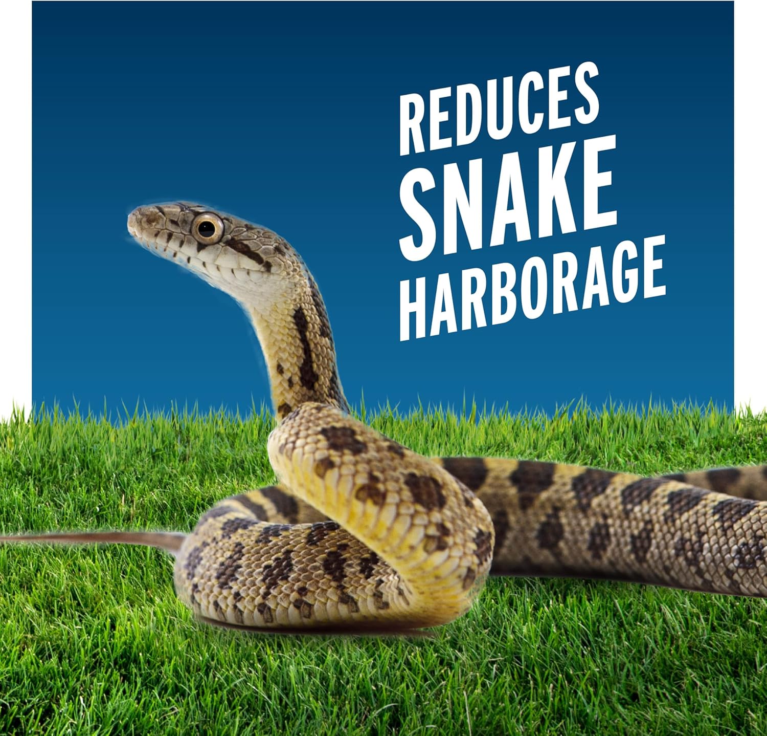 Liquid Fence Snake Repellent Granules, Safe Around Kids and Pets When Used & Stored as Directed, Keep Snakes Out of Garden, Patio and Backyard, 2 lb2