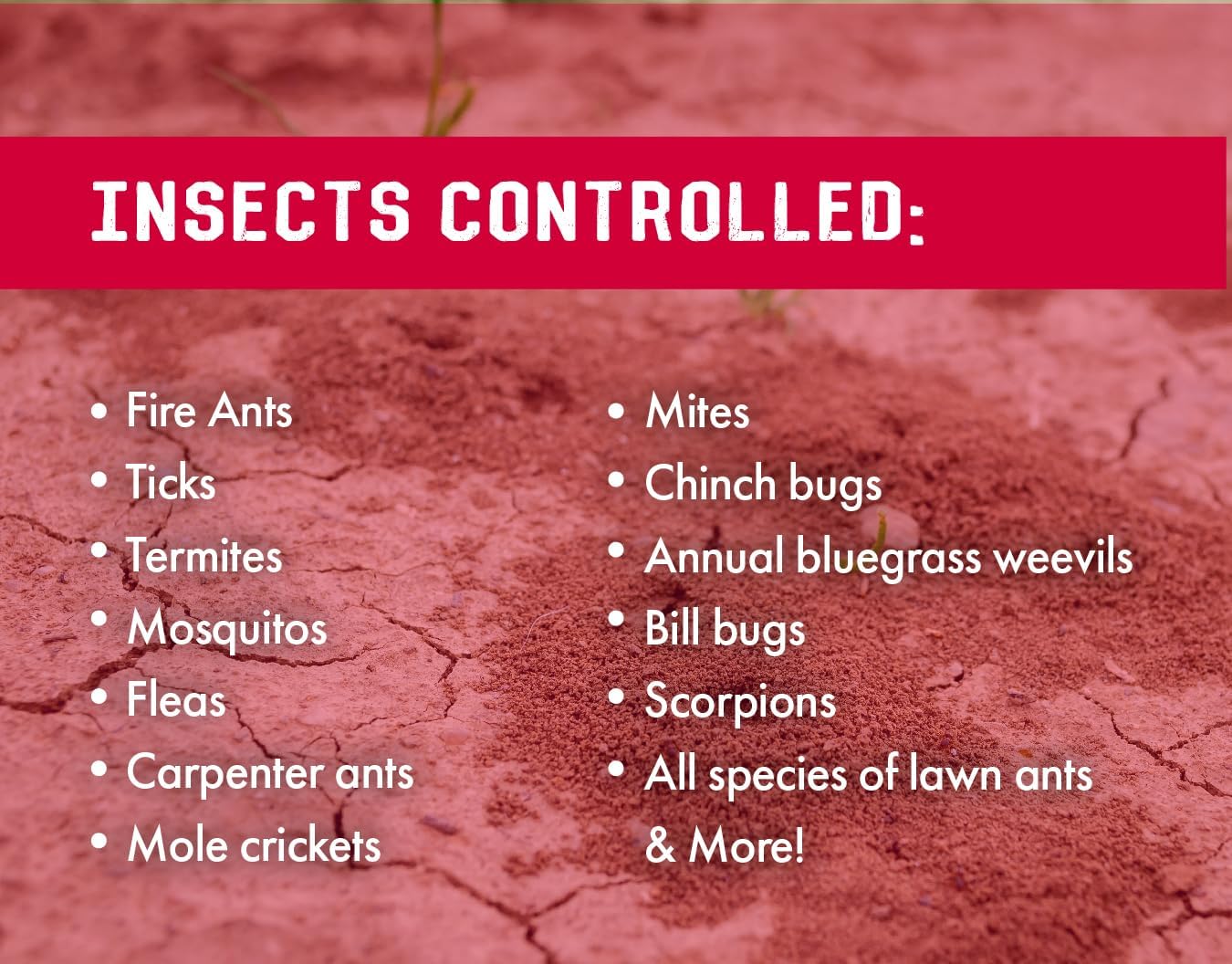 Liquid Harvest 7.9% Bifenthrin Insecticide - Gallon - (Compare to Leading Brands) – Professional Insect Control - Kills on Contact - Fire Ants, Ticks & More0