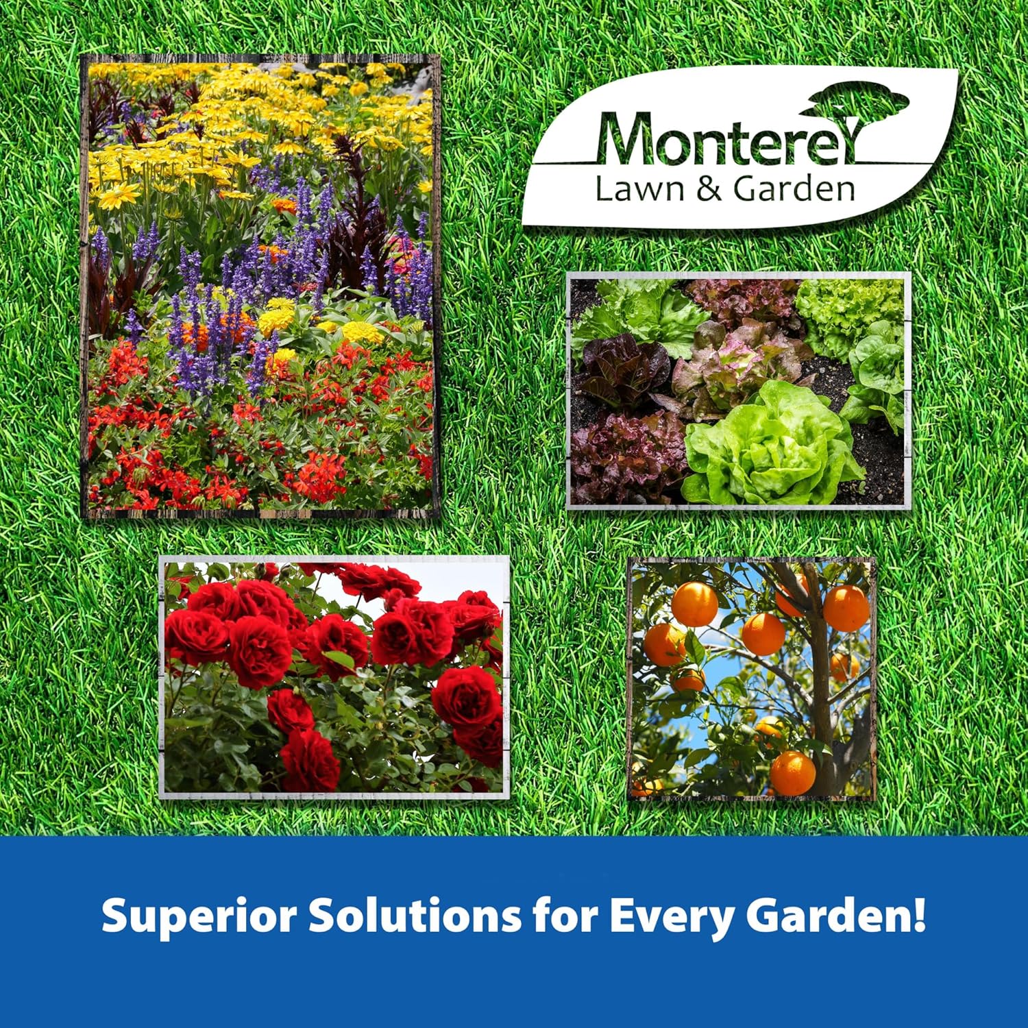 Monterey - B.t. Bacillus Thuringiensis Bundled with Garden Measuring Spoon - Ready to Spray Worm & Caterpillar Killer Insecticide, OMRI Listed - 32 oz0