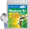 Monterey B.t. Bundled with Measuring Spoon - Caterpillar & Worm Killer Organic Gardening - Apply with Sprayer - 32 oz