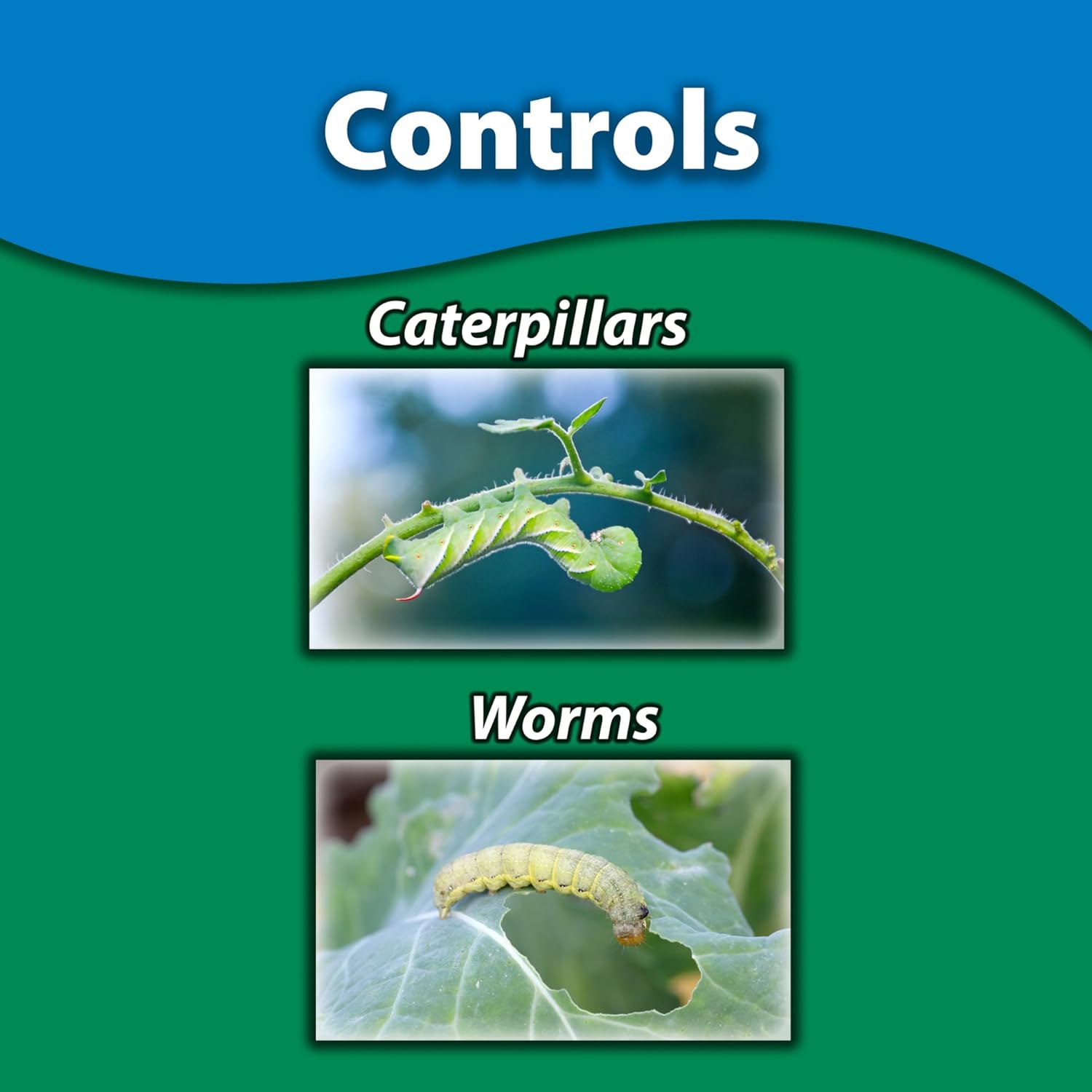 Monterey BT - Ready to Spray Bacillus Thuringiensis for Organic Worm and Caterpillar Control - 31oz1
