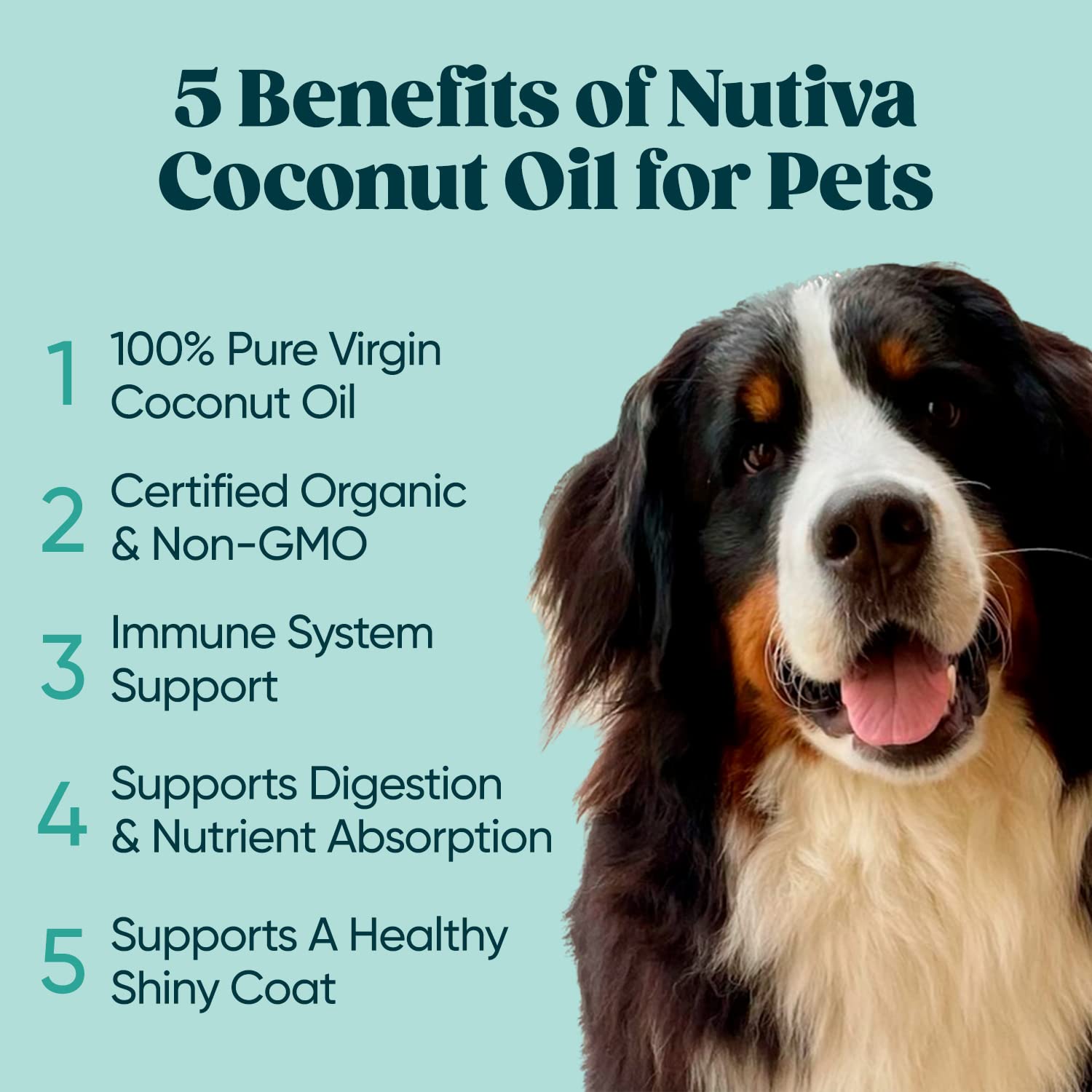 Nutiva Organic Cold-Pressed Virgin Coconut Oil, 1 Gallon, USDA Organic, Non-GMO, Whole 30 Approved, Vegan, Keto, Fresh Flavor and Aroma for Cooking & Healthy Skin and Hair9
