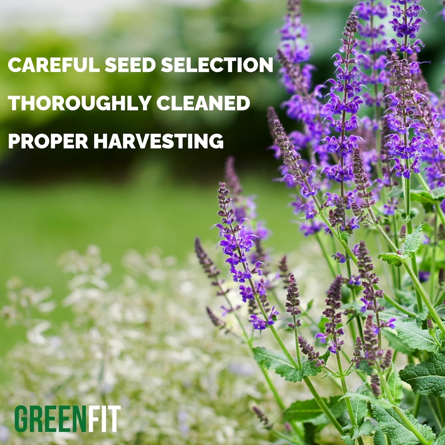 Organic Premium Bulk Chia Seeds (10Lbs Bag) A+ Grade Chia Nutrient-Packed Superfood Non-GMO Gluten-Free Chia Seeds Bulk Vegan11