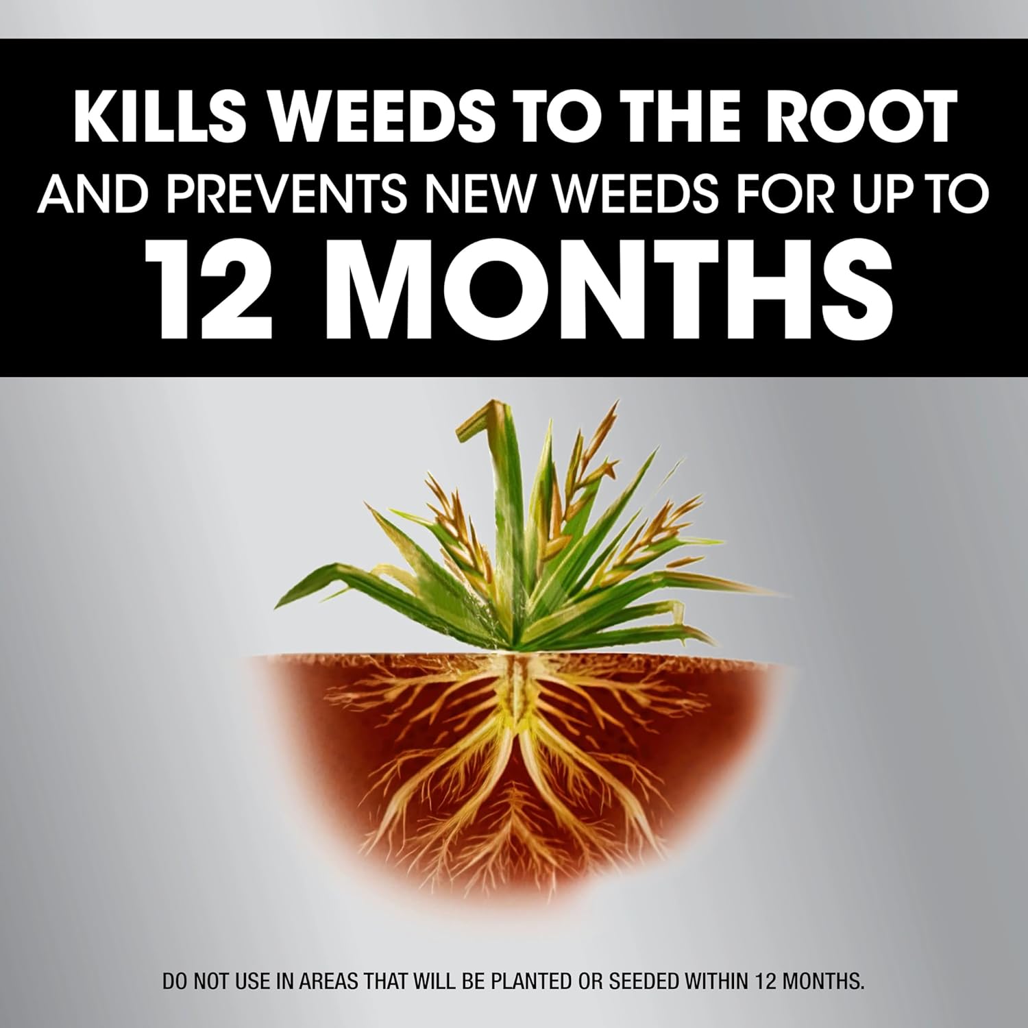 Roundup Dual Action 365 Weed & Grass Killer Plus 12 Month Preventer Concentrate, Kills & Prevents for up to 1 Year, 32 fl.oz. 6