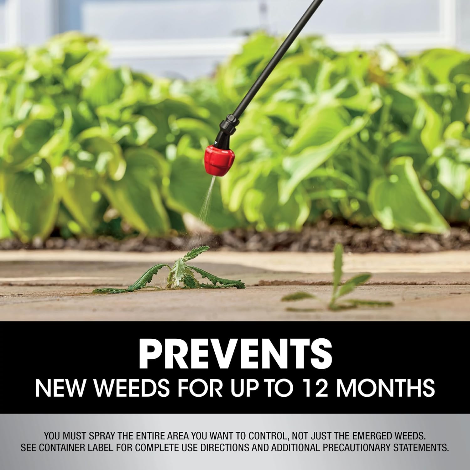 Roundup Dual Action 365 Weed & Grass Killer Plus 12 Month Preventer Concentrate, Kills & Prevents for up to 1 Year, 32 fl.oz.15