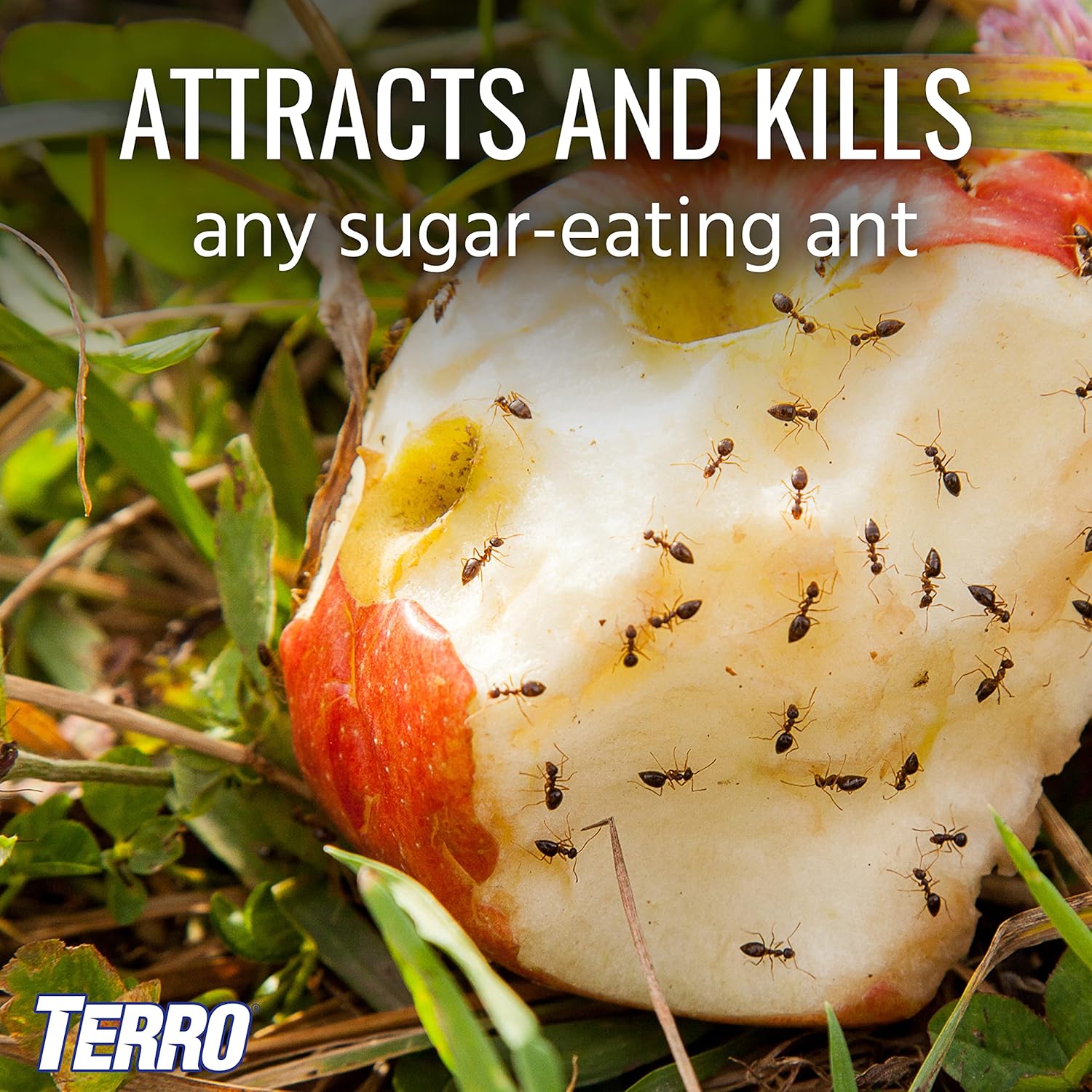 Terro T1812 Outdoor Liquid Ant Baits - 6 Pack13