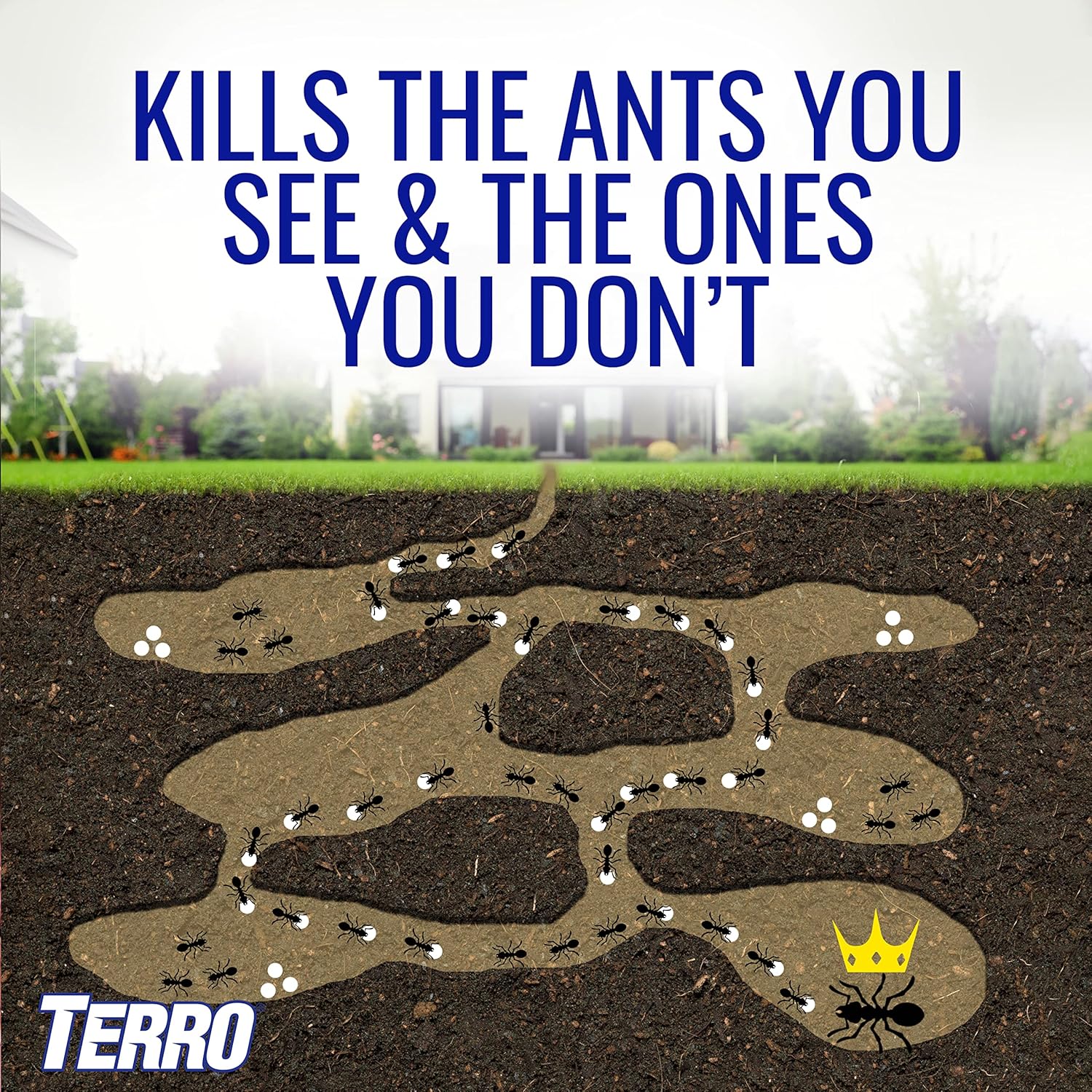 Terro T1812 Outdoor Liquid Ant Baits - 6 Pack4