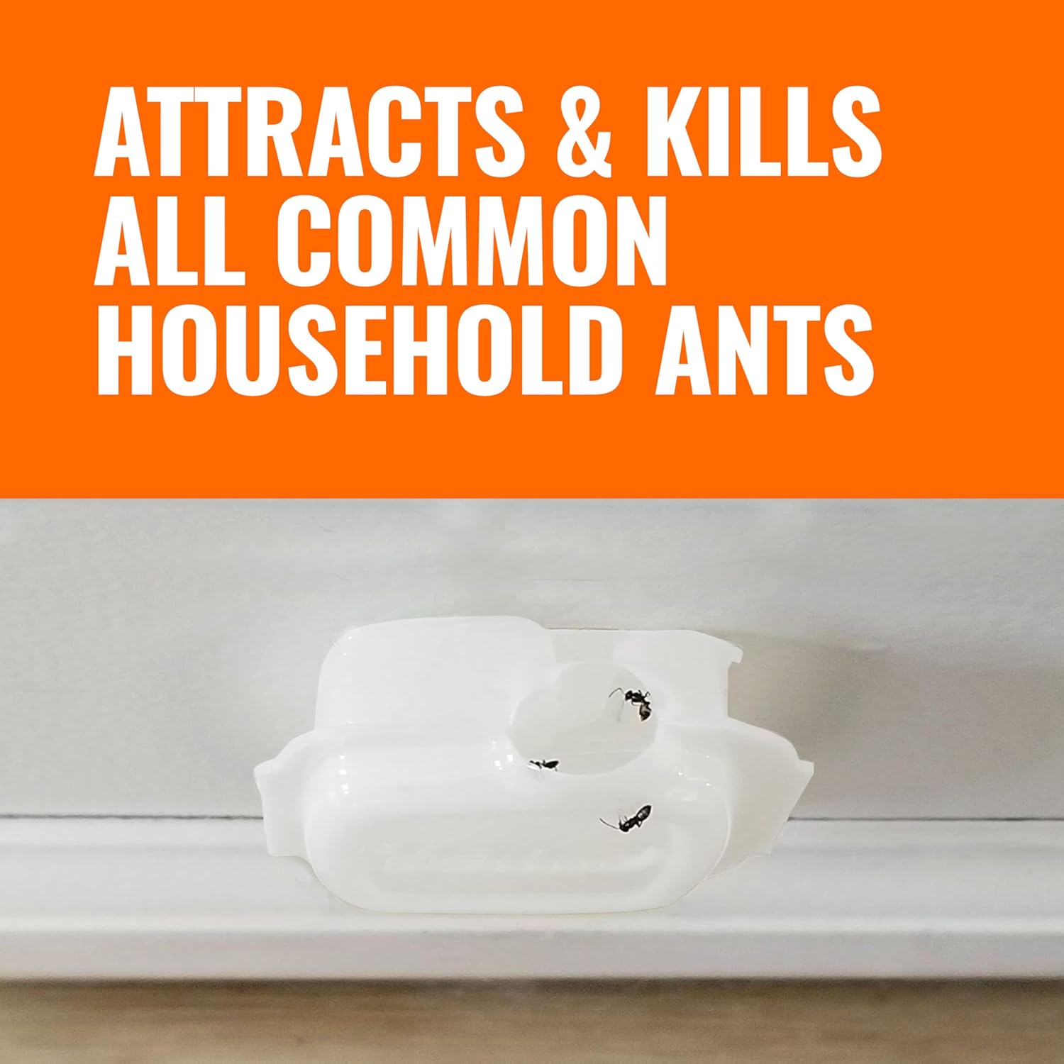 Terro T334B Liquid Ant Baits Indoor - Terro Ant Trap and Bait Stations - 20 Liquid Traps0