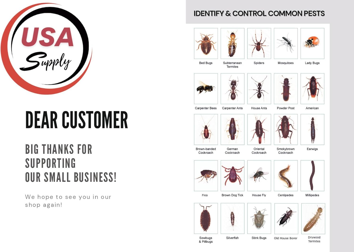 Vendetta Plus Cockroach Bait - Contains IGR, Best Roach Killer for Infestation Premium USA Supply Gloves USA Supply Pest Identification Card7