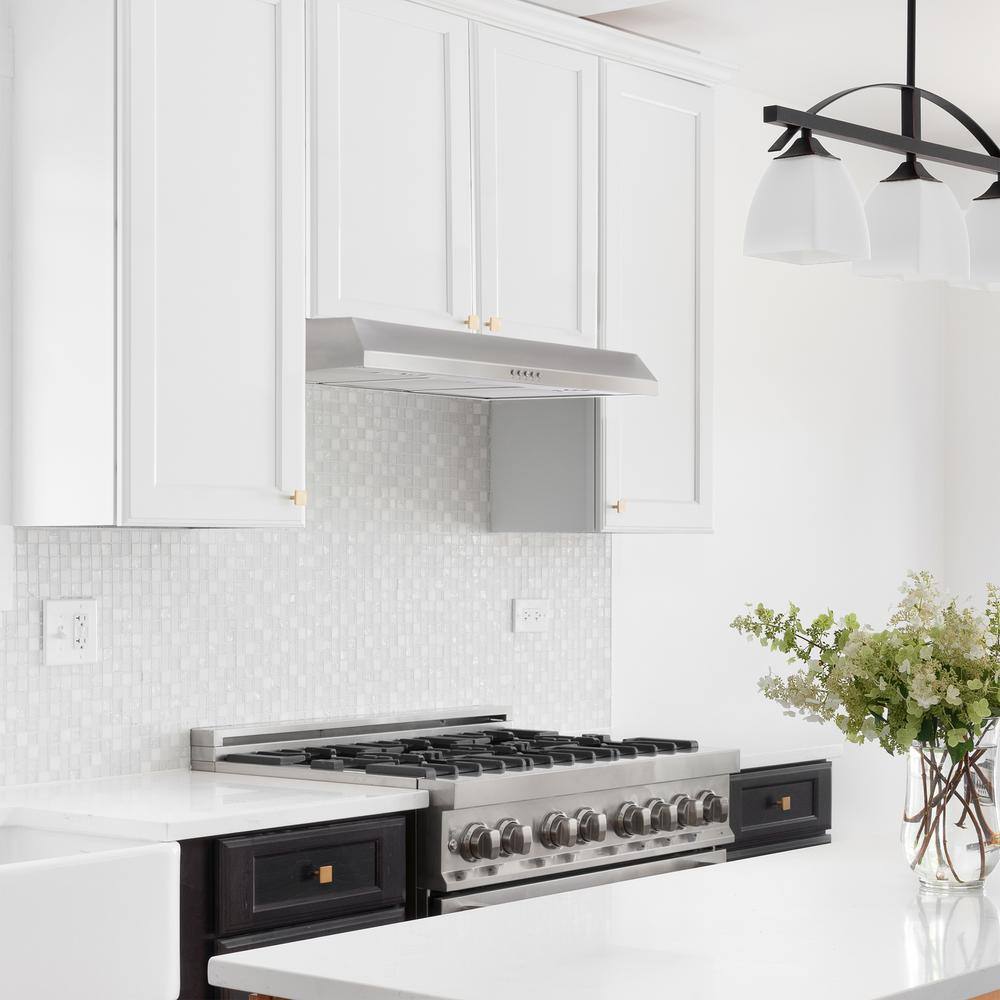 Vissani QR354SY Caprelo 36 in. 320 CFM Convertible Under Cabinet Range Hood in Stainless Steel with LED Lighting and Charcoal Filter1