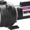 Wayne WLS150 1.5 HP High Volume Cast Iron Lawn Sprinkling Pump, 1-1/2-Horsepower