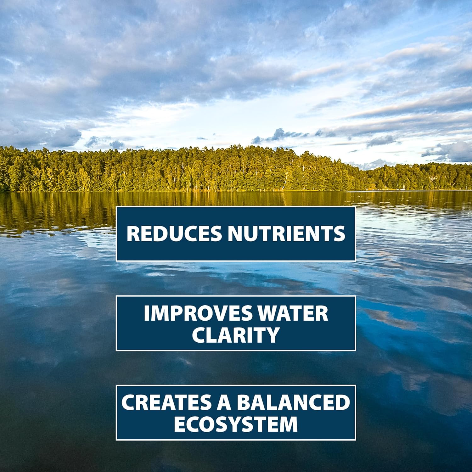 Airmax PondClear Packets, Beneficial Bacteria & Enzyme Clarifier Treatment with Ecoboost PRx, Clear & Clean Pond & Lake Water, Safe for Fish, 12-Count4