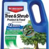 BioAdvanced 12 Month Tree and Shrub Protect and Feed, Granules, 10 lb, Insect Killer and Fertilizer & Plant Food