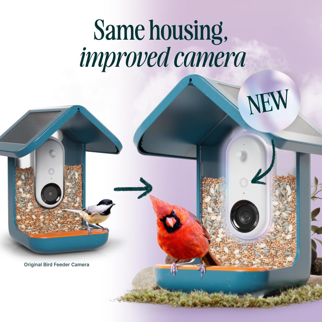 Bird Buddy PRO Solar Smart Bird Feeder with Camera - AI Bird Species Identification, 5MP Photos, 2K HD Video Live Stream Camera, Slow-Motion Video, 2.6in Focus - Blue Solar`11