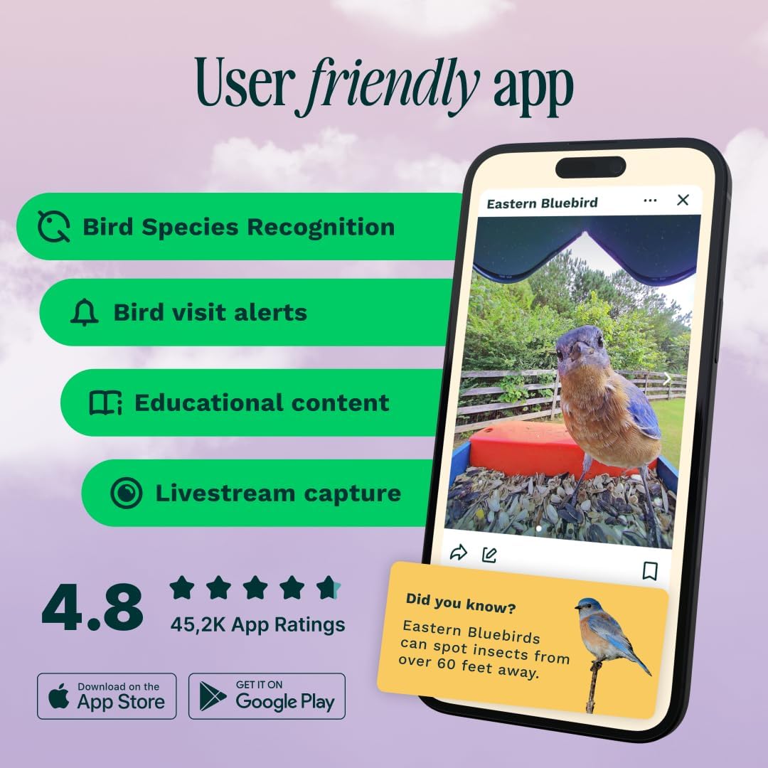 Bird Buddy PRO Solar Smart Bird Feeder with Camera - AI Bird Species Identification, 5MP Photos, 2K HD Video Live Stream Camera, Slow-Motion Video, 2.6in Focus - Blue Solar8