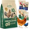Bulk Dried Mealworms, 10 Lbs – Non-GMO Mealworms for Chicken & Birds - Insect Protein for Poultry Feed - Worms for Chickens, Laying Hens, Quail, Ducks - Bird Seed Alternative