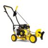 Champion Power Equipment 201465 9 in. 79 cc Gas Powered 4-Stroke Walk Behind Lawn Edger