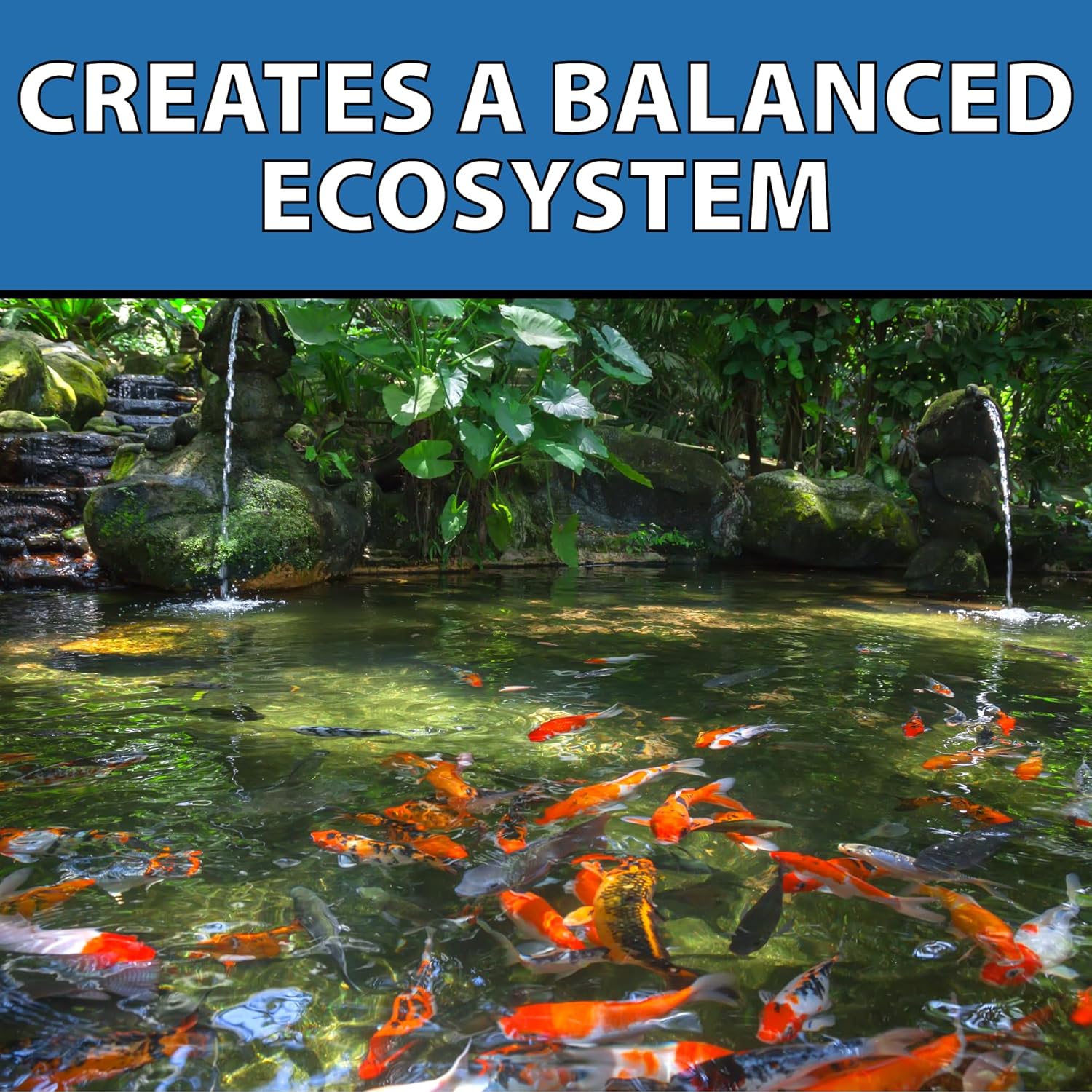 CrystalClear Barley Extract Water Garden & Fountain Clarifier, Natural Liquid Concentrate to Treat Cloudy Ponds, Koi Fish, Plant & Pet Safe, 1 Gallon7