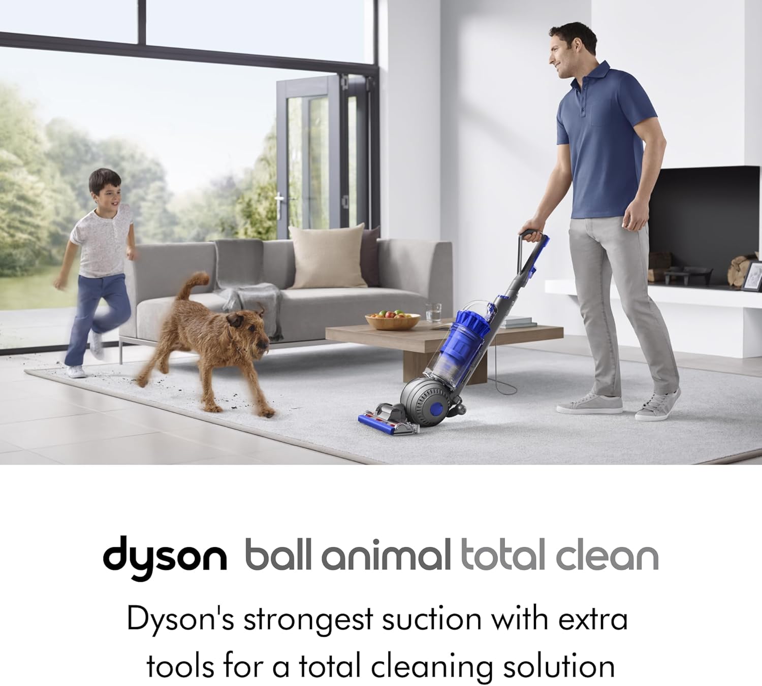 Dyson Ball Animal Total Clean Upright Vacuum, Iron Blue (447967-01)1