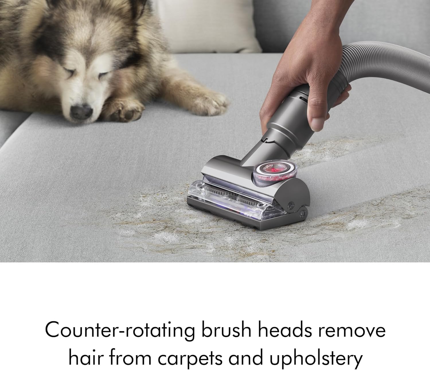 Dyson Ball Animal Total Clean Upright Vacuum, Iron Blue (447967-01)9