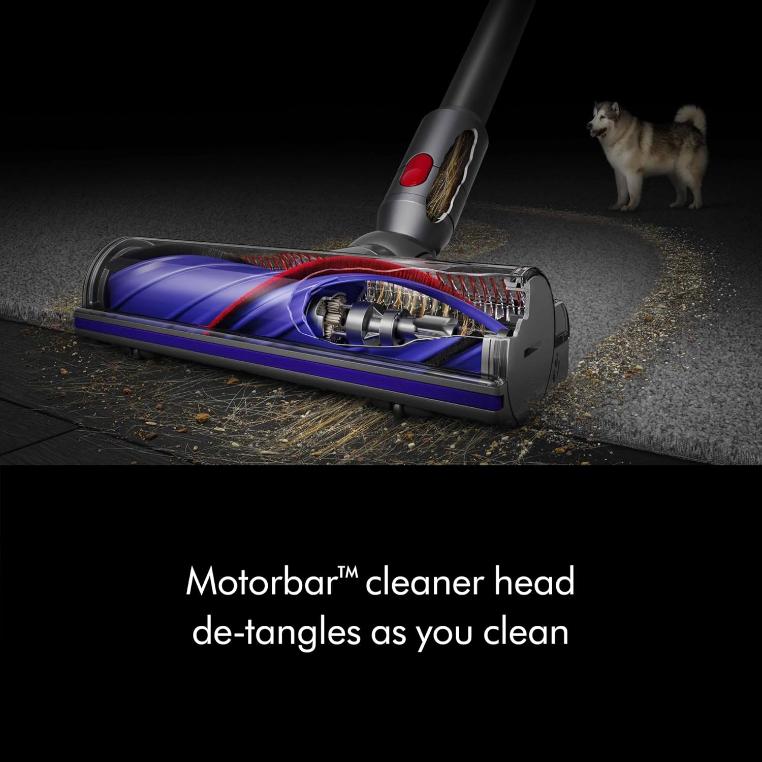 Dyson V8 Plus Cordless Vacuum, Silver Nickel6