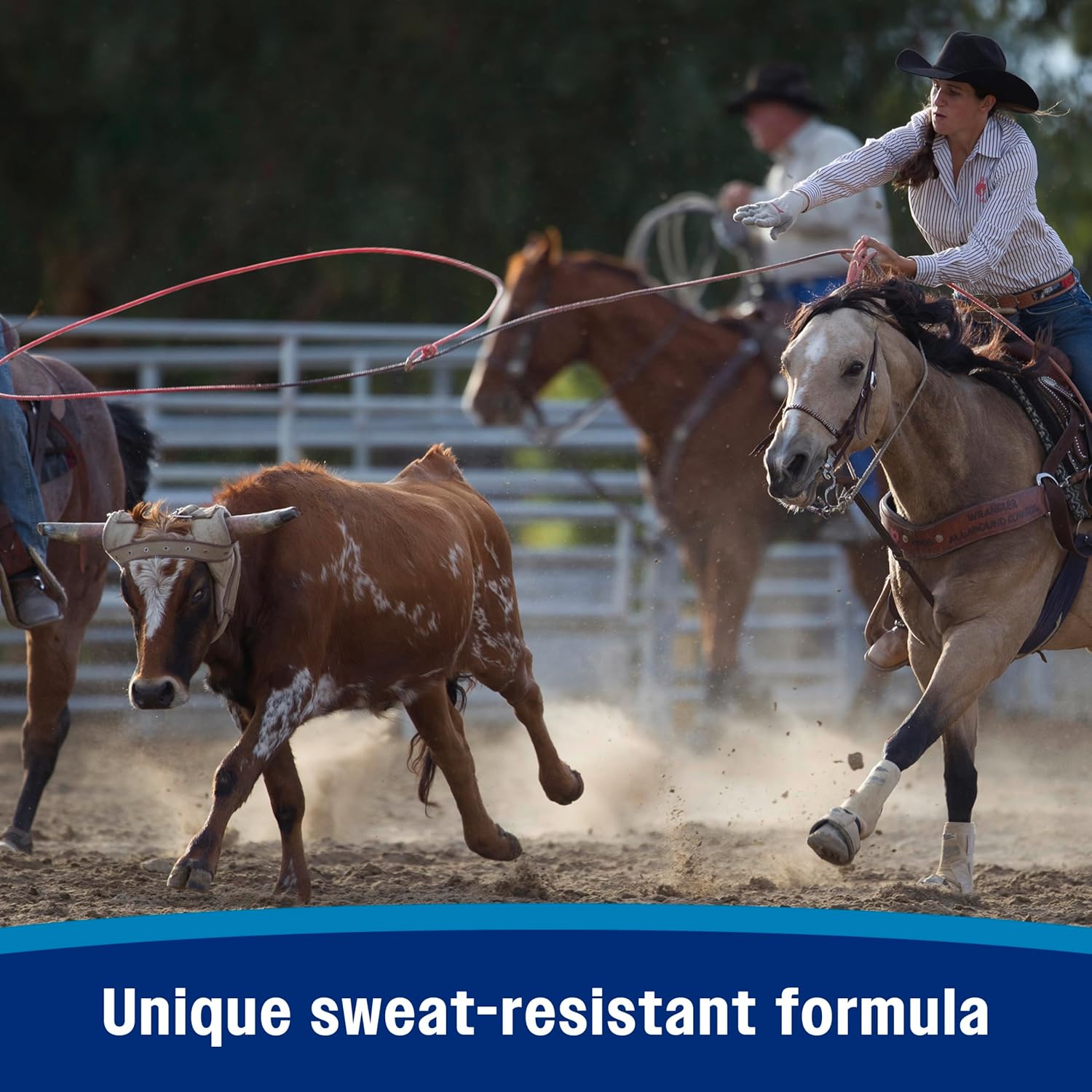Farnam Endure Sweat-Resistant Fly Spray for Horses, Lasts Up to 14 Days, Protects Against Flies, Gnats, Mosquitoes, Ticks & Lice, 128 oz.7