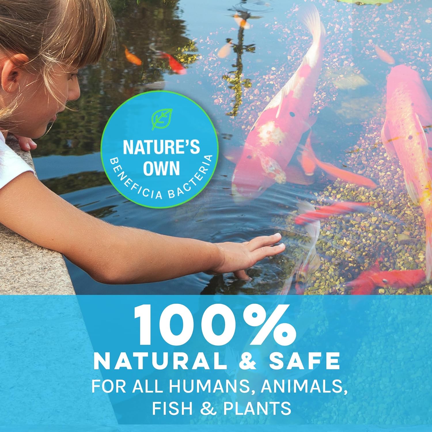 MICROBE-LIFT PL Pond and Outdoor Water Garden Cleaner, Safe for Live Koi Fish, Plant Life, and Decor, 1 Gallon12