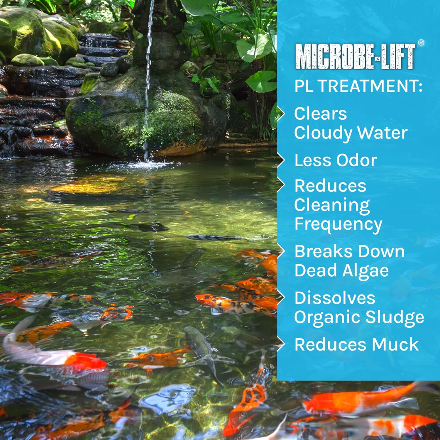 MICROBE-LIFT PL Pond and Outdoor Water Garden Cleaner, Safe for Live Koi Fish, Plant Life, and Decor, 1 Gallon16