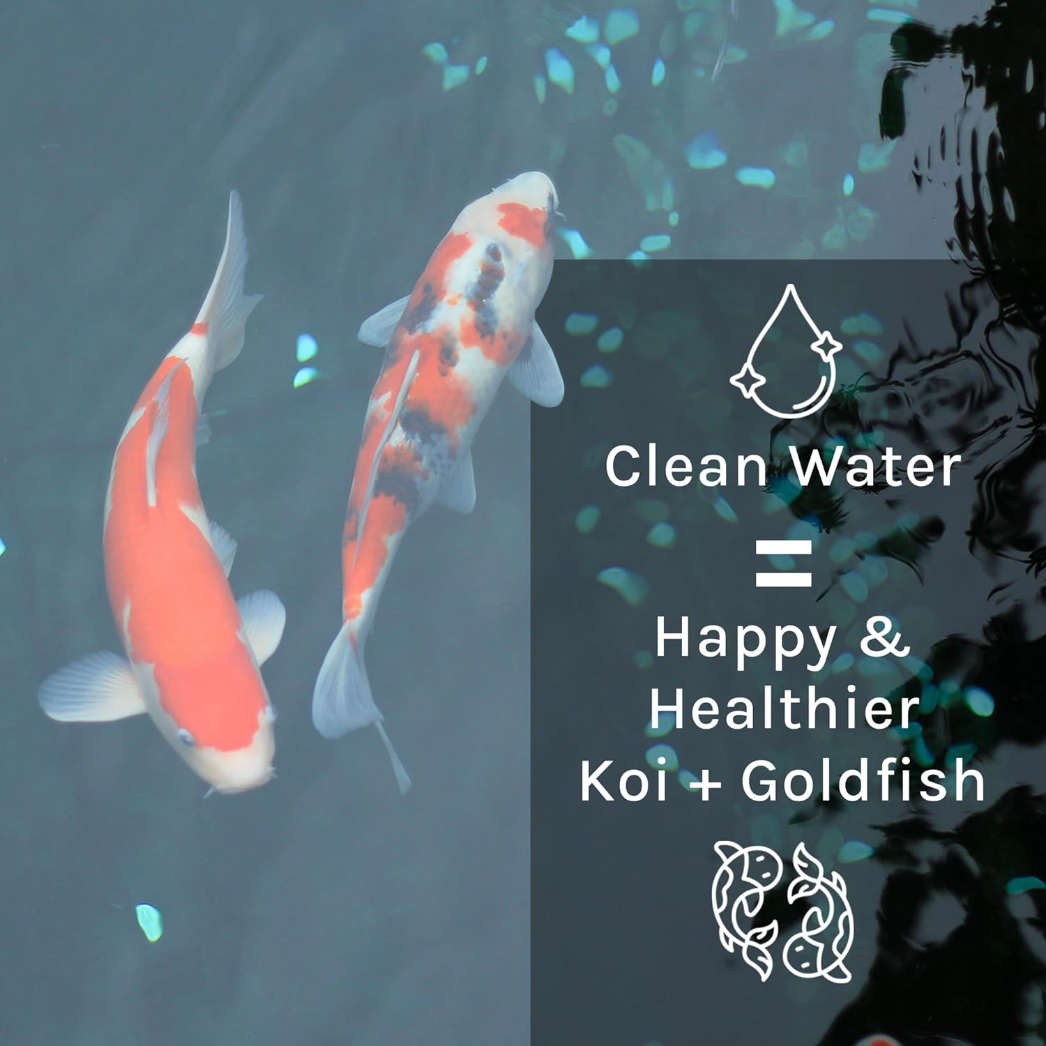 MICROBE-LIFT PL Pond and Outdoor Water Garden Cleaner, Safe for Live Koi Fish, Plant Life, and Decor, 1 Gallon5