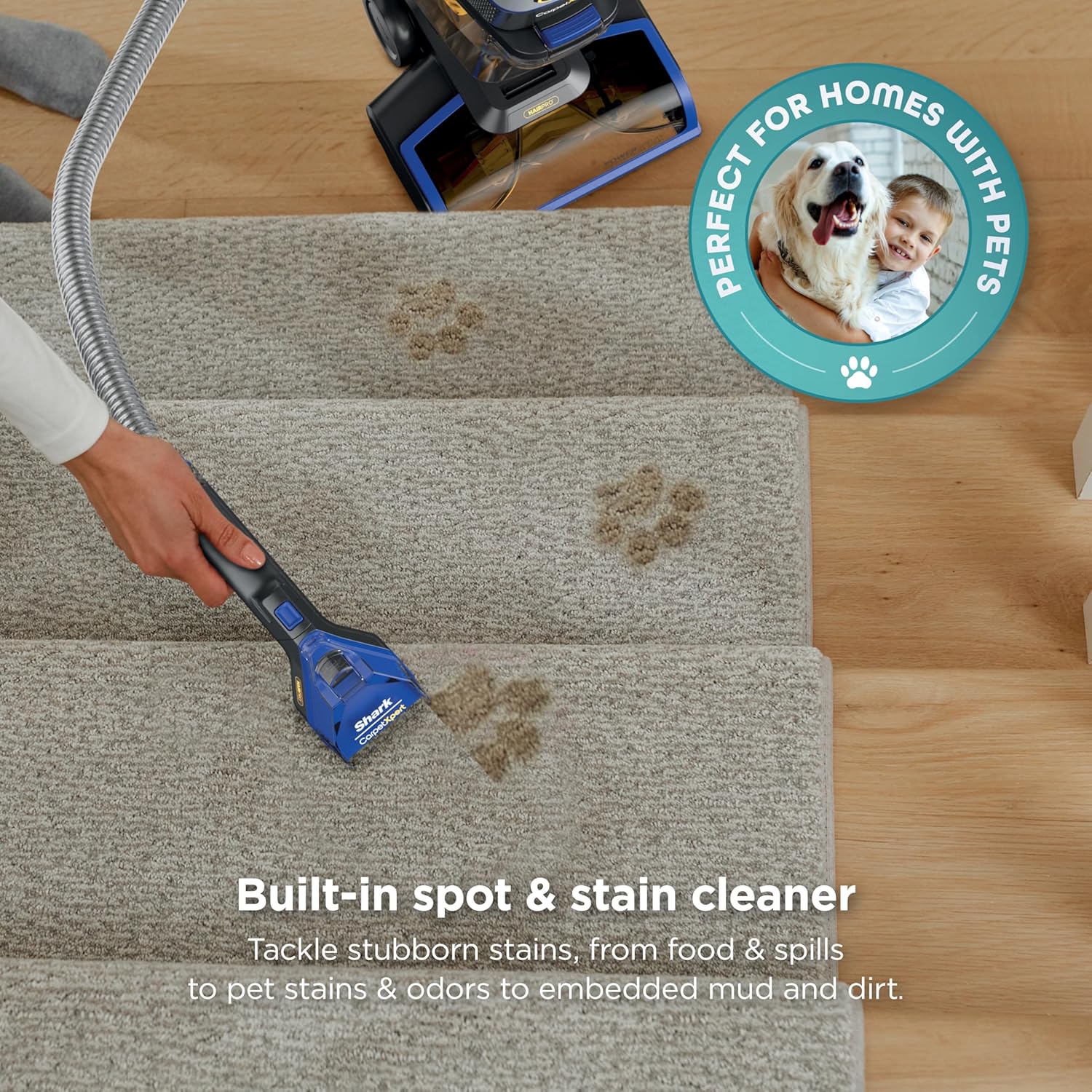 Shark CarpetXpert HairPro Upright Carpet, Area Rug & Upholstery Cleaner with Spot & Stain Remover, Perfect for Pets, Carpet Shampooer, 2 Cleaning Tools, Pet Cleaning Solution, Cobalt, EX251BRN5