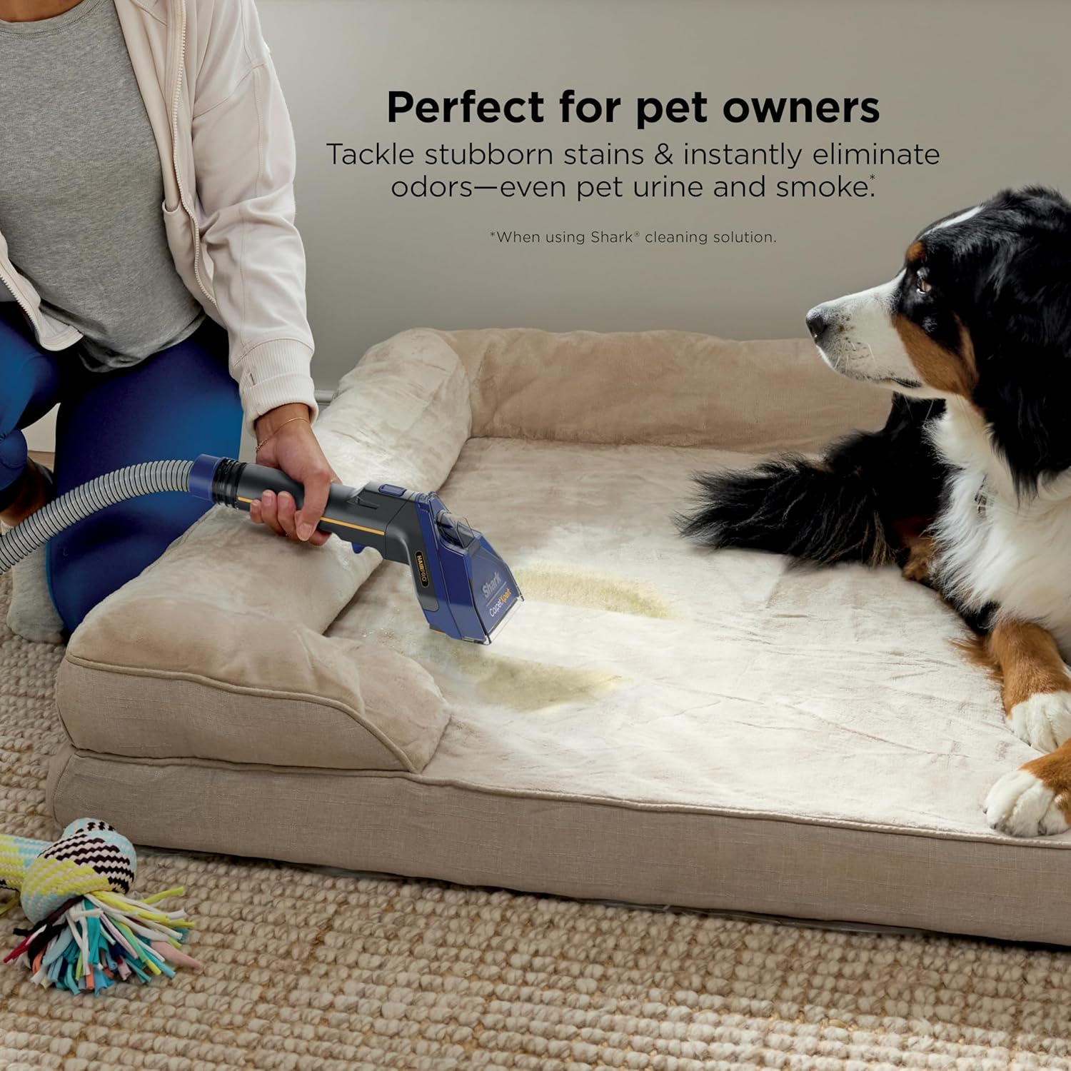 Shark CarpetXpert HairPro Upright Carpet, Area Rug & Upholstery Cleaner with Spot & Stain Remover, Perfect for Pets, Carpet Shampooer, 2 Cleaning Tools, Pet Cleaning Solution, Cobalt, EX251BRN90