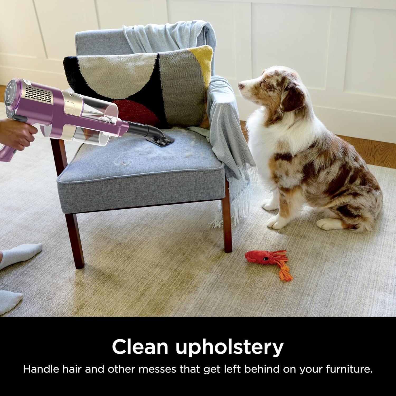 Shark POWERDETECT Ultra-Light Corded Stick Vacuum with DuoClean Technology, Self-Cleaning Brushroll for No Hair Wrap, Anti-Allergen Complete Seal, and Odor Neutralizer Technology, Purple, HZ4001AMZ4