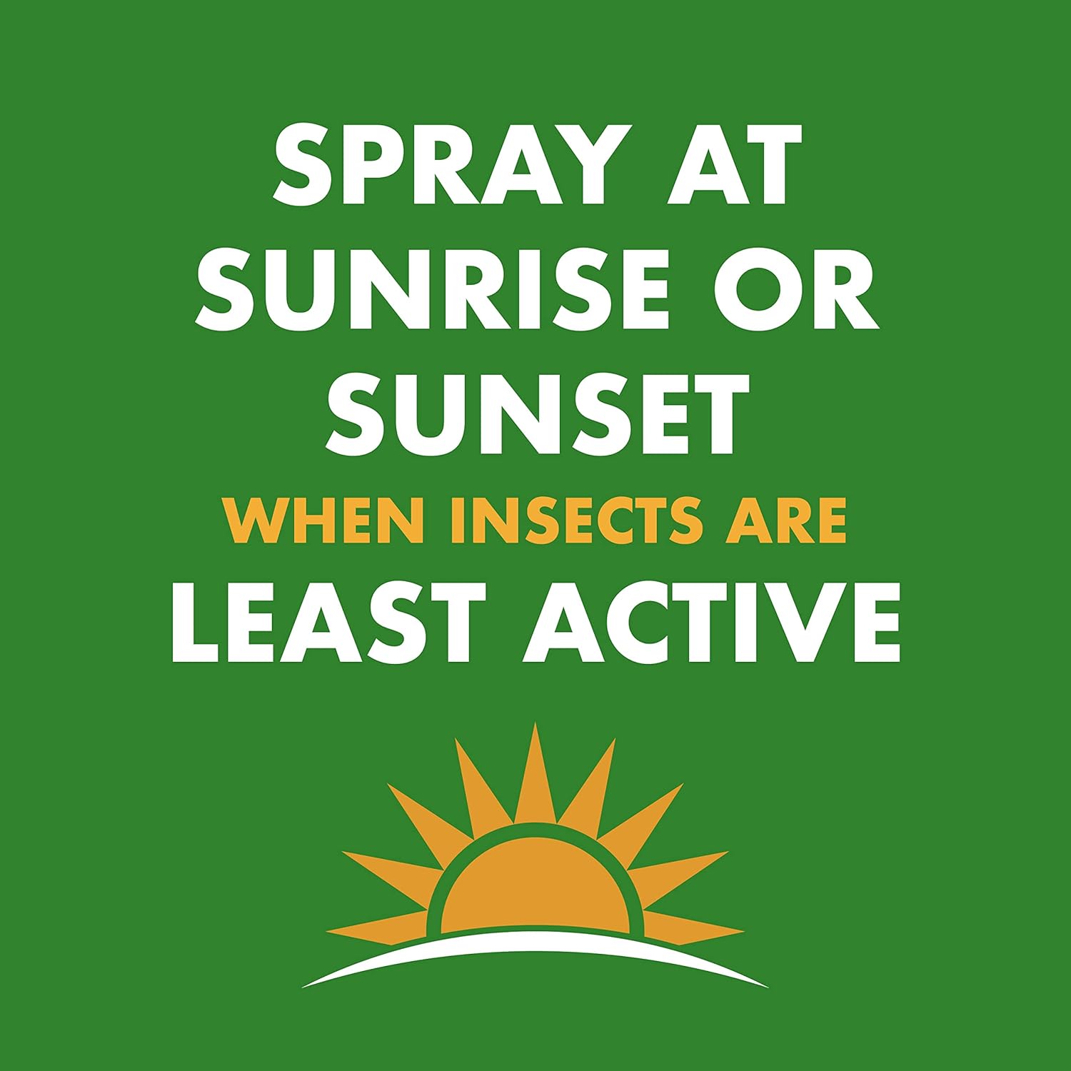 Spectracide Wasp & Hornet Killer Aerosol Kills Wasps, Hornets And Yellow Jackets On Contact & Eliminates The Nest, 12 Pack0