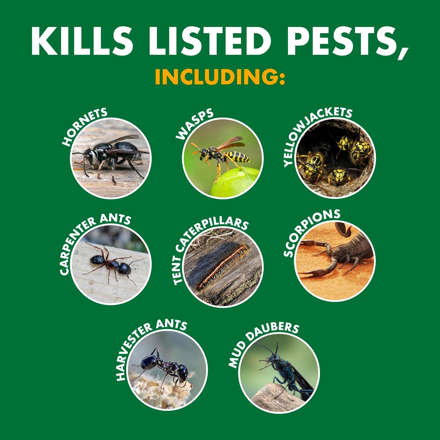 Spectracide Wasp & Hornet Killer Aerosol Kills Wasps, Hornets And Yellow Jackets On Contact & Eliminates The Nest, 12 Pack3