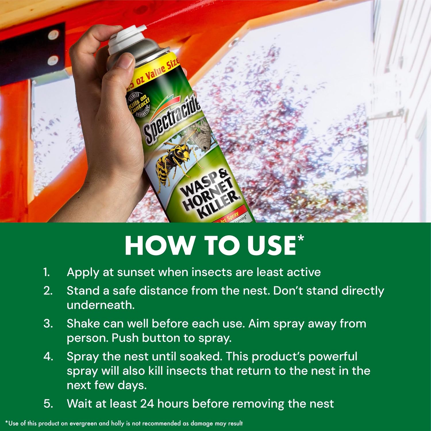 Spectracide Wasp & Hornet Killer Aerosol Kills Wasps, Hornets And Yellow Jackets On Contact & Eliminates The Nest, 12 Pack7