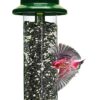 Squirrel Buster Plus Squirrel-proof Bird Feeder w/Cardinal Ring and 6 Feeding Ports, 5.1-pound Seed Capacity, Adjustable, Pole-mountable (POLE ADAPTOR SOLD SEPARATELY), Green