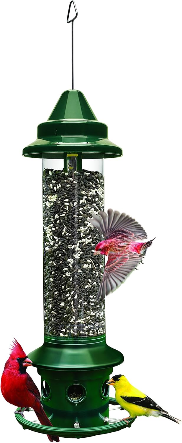 Squirrel Buster Plus Squirrel-proof Bird Feeder w Cardinal Ring and 6 Feeding Ports, 5.1-pound Seed Capacity, Adjustable, Pole-mountable (POLE ADAPTOR SOLD SEPARATELY), Green Squirrel Buster Plus Squirrel-proof Bird Feeder w/Cardinal Ring and 6 Feeding Ports, 5.1-pound Seed Capacity, Adjustable, Pole-mountable (POLE ADAPTOR SOLD SEPARATELY), Green