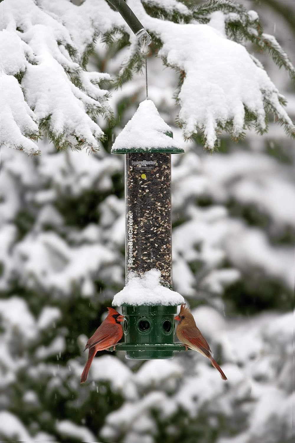 Squirrel Buster Plus Squirrel-proof Bird Feeder w Cardinal Ring and 6 Feeding Ports, 5.1-pound Seed Capacity, Adjustable, Pole-mountable (POLE ADAPTOR SOLD SEPARATELY), Green14