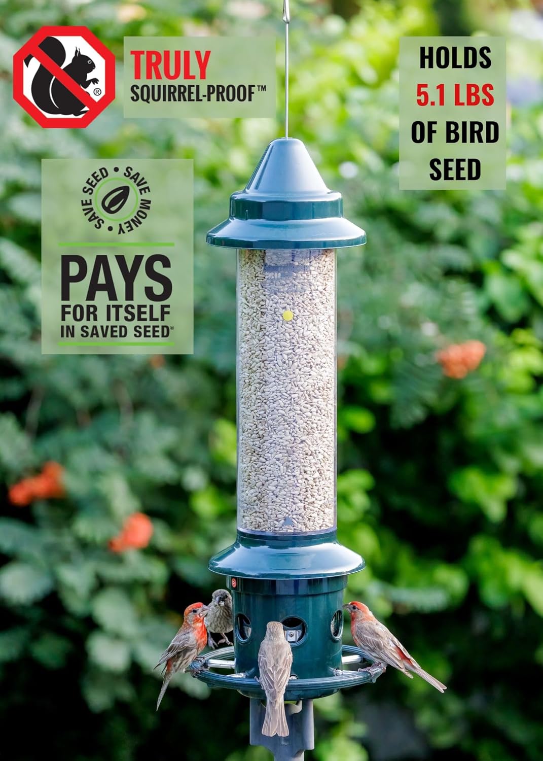 Squirrel Buster Plus Squirrel-proof Bird Feeder w Cardinal Ring and 6 Feeding Ports, 5.1-pound Seed Capacity, Adjustable, Pole-mountable (POLE ADAPTOR SOLD SEPARATELY), Green3