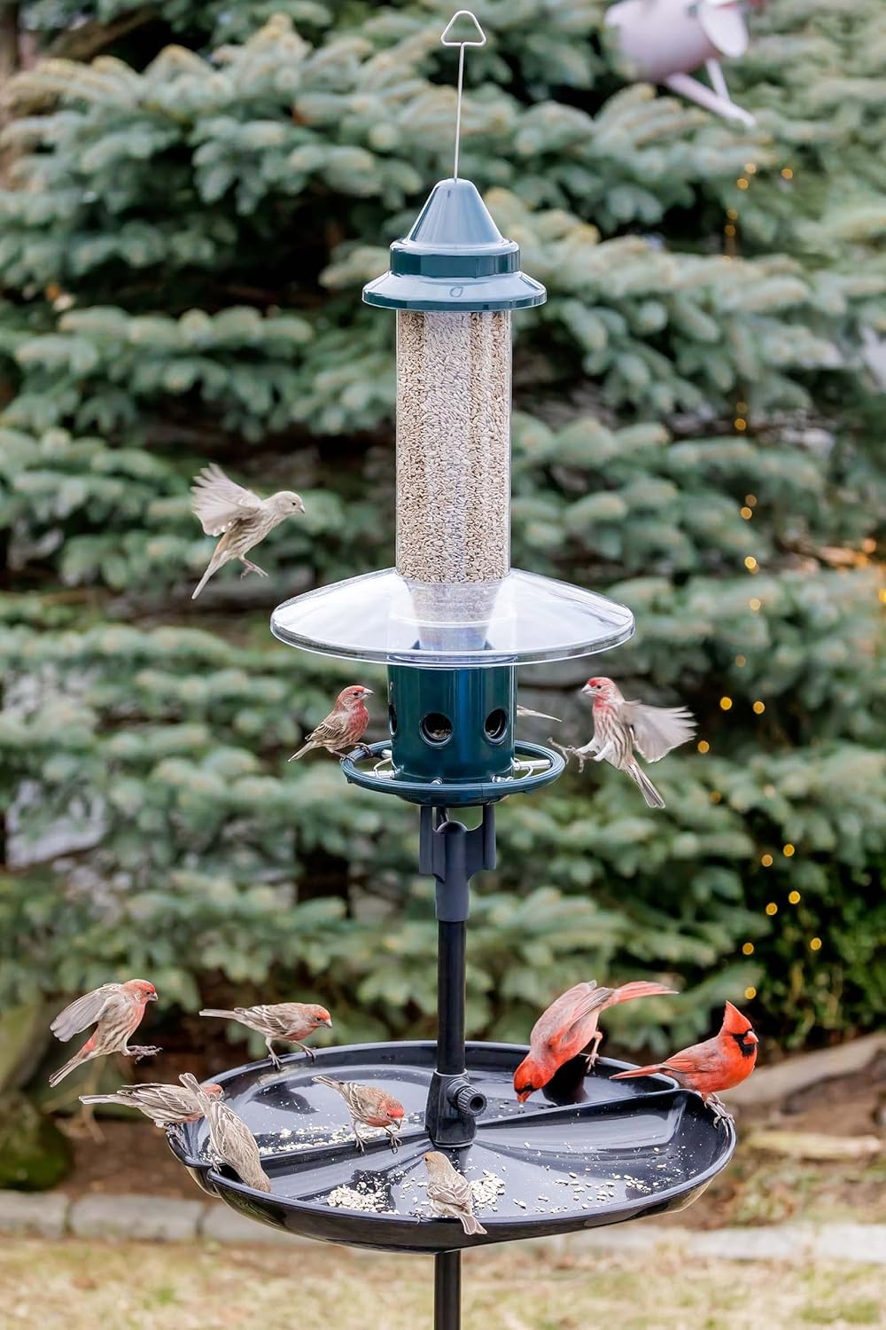 Squirrel Buster Plus Squirrel-proof Bird Feeder w Cardinal Ring and 6 Feeding Ports, 5.1-pound Seed Capacity, Adjustable, Pole-mountable (POLE ADAPTOR SOLD SEPARATELY), Green89