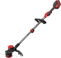 CRAFTSMAN CMCST920M1 V20 WEEDWACKER Cordless String Trimmer with QUICKWIND, 4 Ah Battery, Charger, and Spool Included