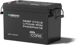 Renogy 12V 300Ah Mini Size LiFePO4 Lithium Battery, 200A BMS for Ultimate Safety, Deep Cycle