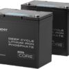 Renogy 2PCS 12V 100Ah Mini Size LiFePO4 Lithium Battery, 100A BMS for Ultimate Safety