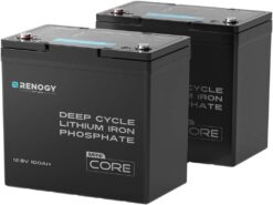 Renogy 2PCS 12V 100Ah Mini Size LiFePO4 Lithium Battery, 100A BMS for Ultimate Safety